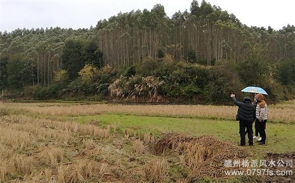 滁州市陈老师带着爱徒寻龙点穴